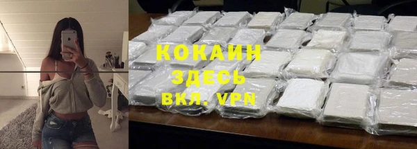 хмурый Долгопрудный