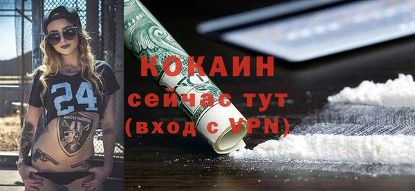 хмурый Долгопрудный