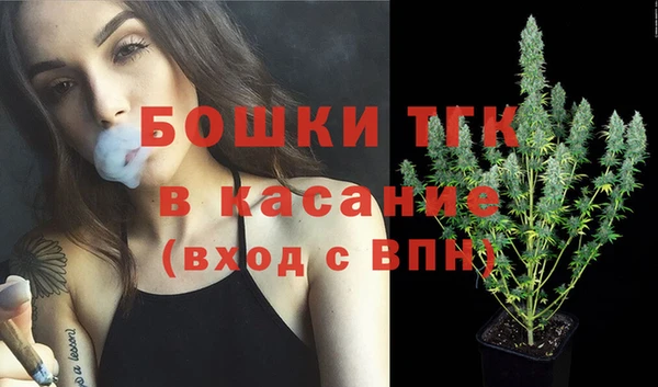 хмурый Долгопрудный