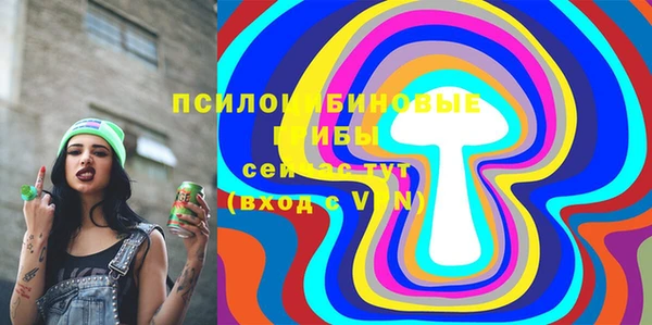 хмурый Долгопрудный