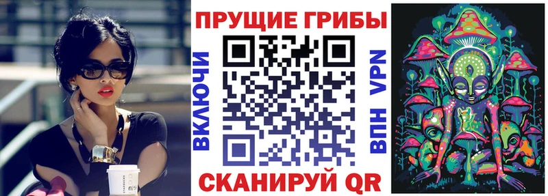 Галлюциногенные грибы Cubensis  Зея 